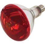 Lampada riflettore pulcini infrarossi volt 230 watt 150 e27 mm 125