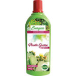 Concime liquido piante grasse energica gr 500