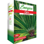 Concime granulare cycas energica kg 1