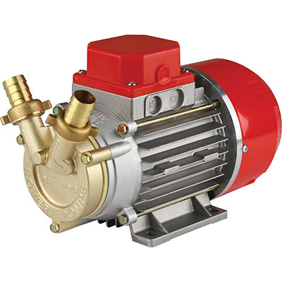 Elettropompa travaso gasolio marina 20 rover 12 volt hp 0,5 lt/h 1700 h.max mt 24 mm 20