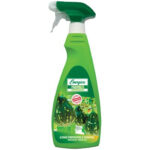 Corroborante propolis spray energica ml 500