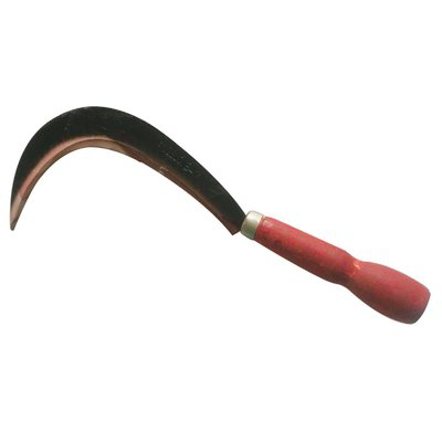 RONCOLINA ORTAGGI STARS ACCIAIO FORGIATO/LEGNO CM 12