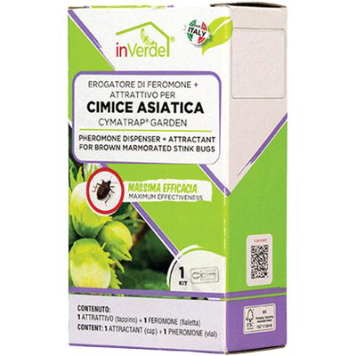 ESCA TRAPPOLA CIMICI ASIATICHE INVERDE FERORMONE + ATTRATTIVO