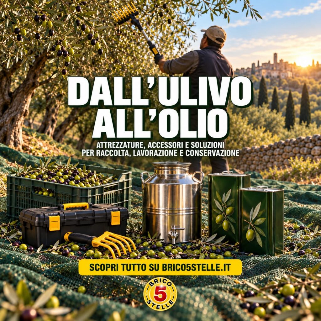offerta-attrezzatura-olio