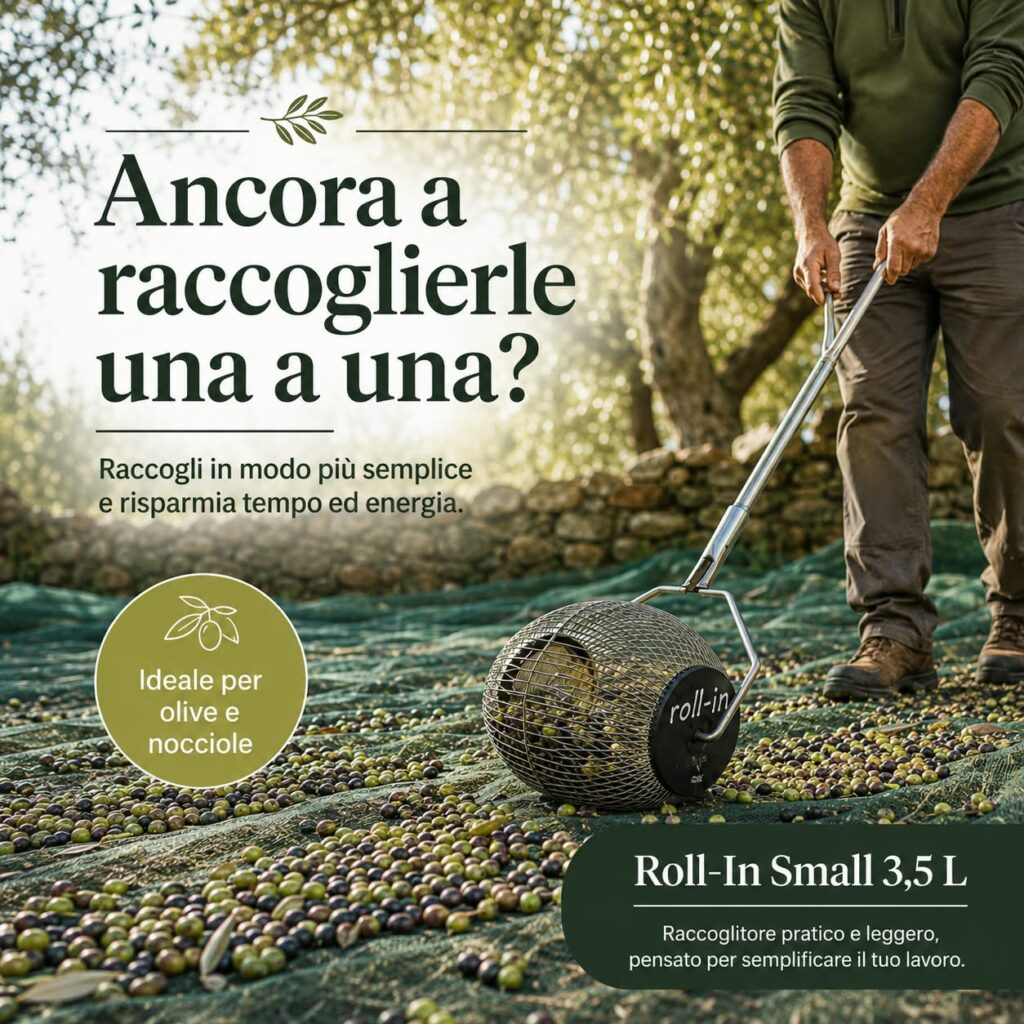 raccogli-olive